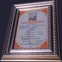 Подарък Звезда